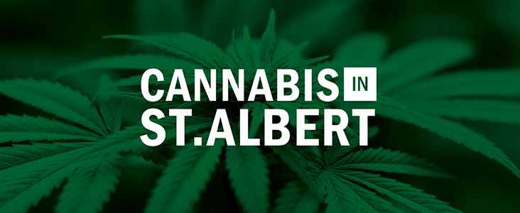 Cannabis In St. Albert logotype with green cannabis plants in the background