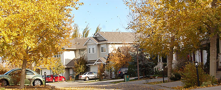 A photo of a residential neighbourhood in full fall foilage