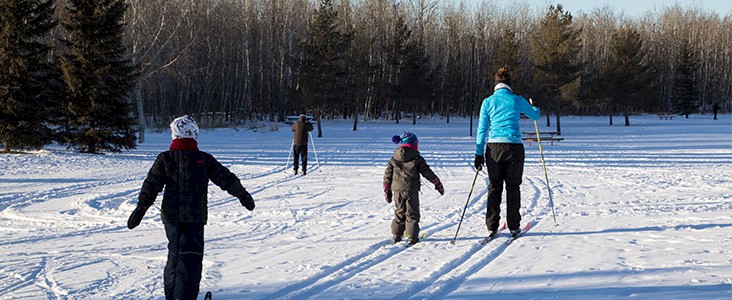 Photo of a family cross-country skiing.