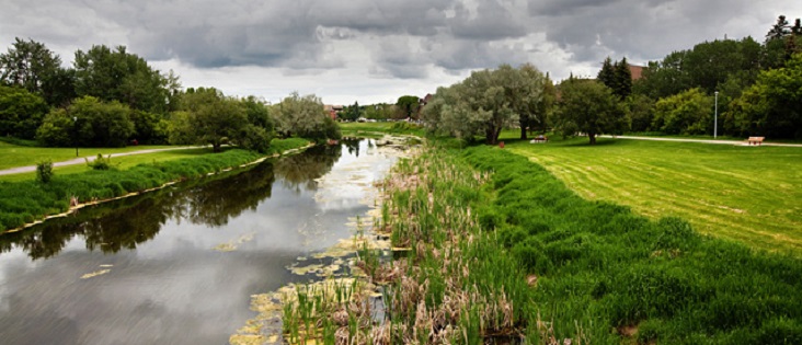 Photo of the Sturgeon River
