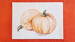 Pumpkin sketch