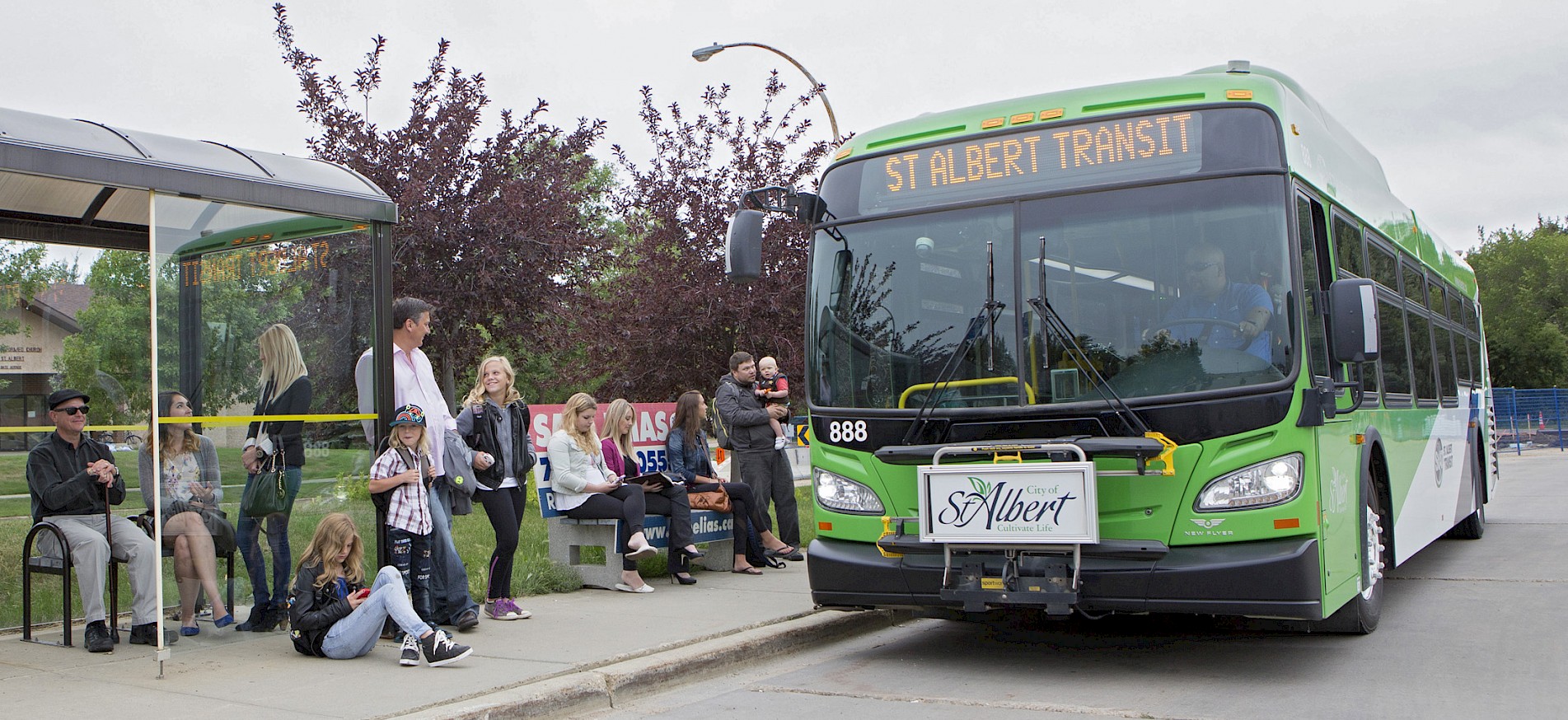 St. Albert Transit   Stat   City Of St. Albert